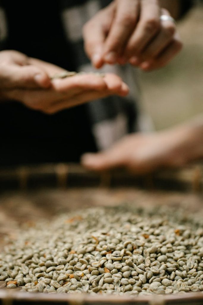 Close-up of hands sorting raw coffee beans using traditional methods outdoors.
